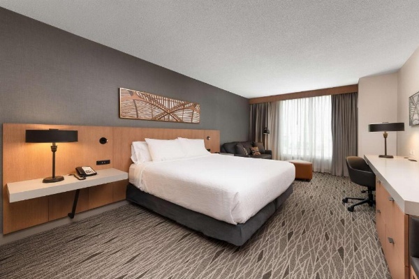 Hilton Garden Inn Toronto Airport image 17